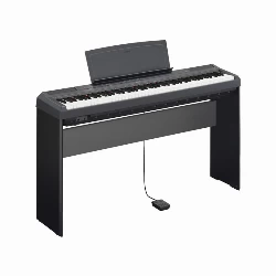 قیمت خرید فروش پیانو دیجیتال Yamaha P-115 B دست دوم کارکرده
